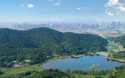 必发集团(股份)有限公司-官方网站