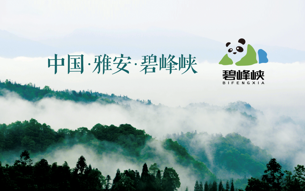 必发集团(股份)有限公司-官方网站